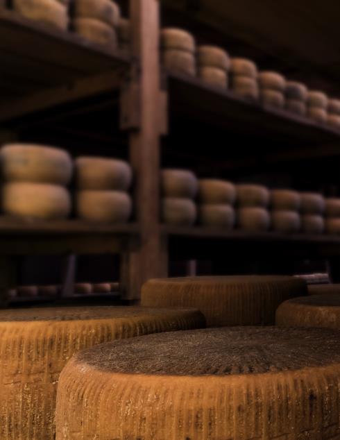 Immagine CASEIFICIO ANTONIO GARAU DAL 1880 CASEIFICIO ANTONIO GARAU DAL 1880