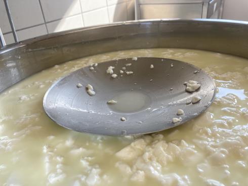 AZIENDA AGRICOLA BIANCHESSI