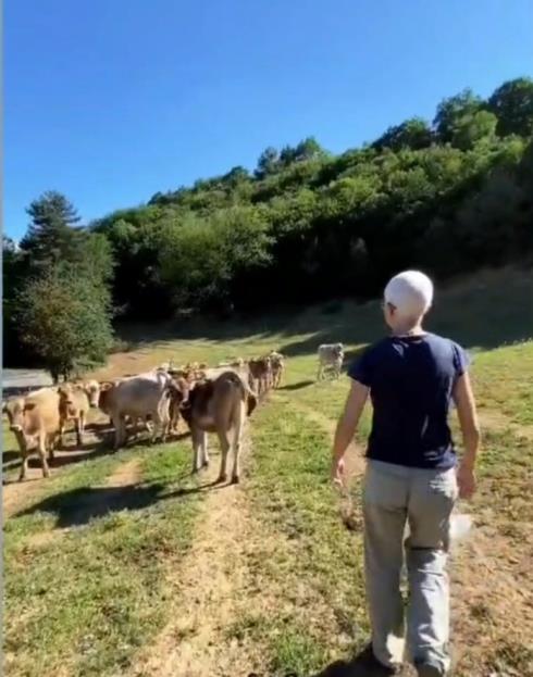 Immagine Azienda Agricola Lavag¿ Azienda Agricola Lavagè
