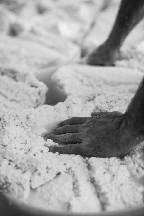 LATTERIA SOCIALE VILLA SCA