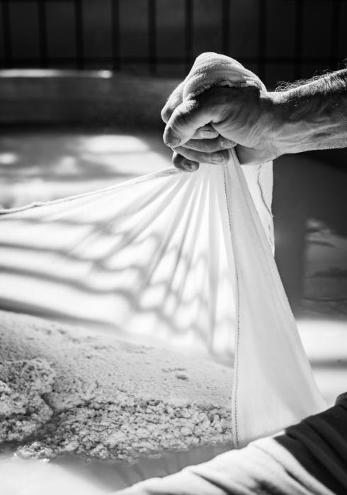 LATTERIA SOCIALE VILLA SCA