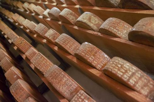 LATTERIA SOCIALE VILLA SCA